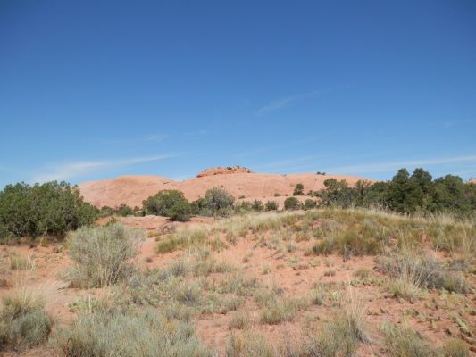 P8021204a.jpg