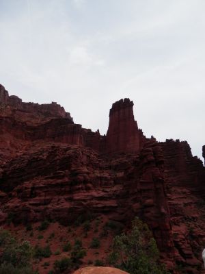 P8030823a.jpg
