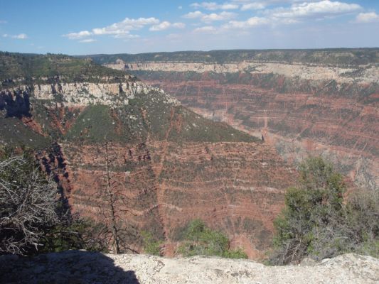 P8060875a.jpg