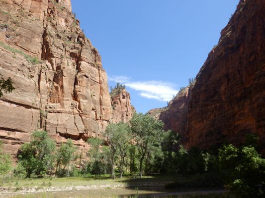 P8072991a.jpg
