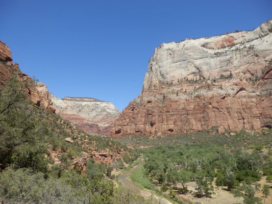 P8073031a.jpg