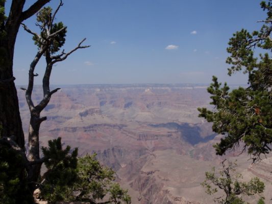 P8300408a.jpg