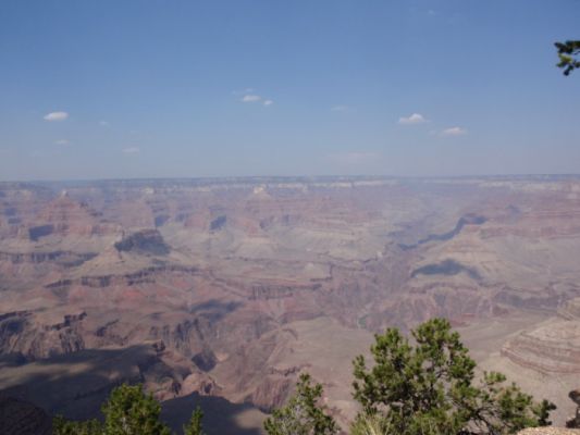 P8300414a.jpg