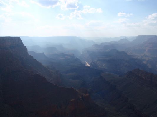 P8300533a.jpg