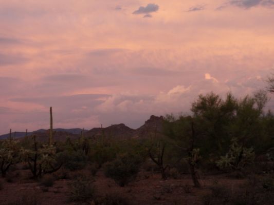 P8310097a.jpg
