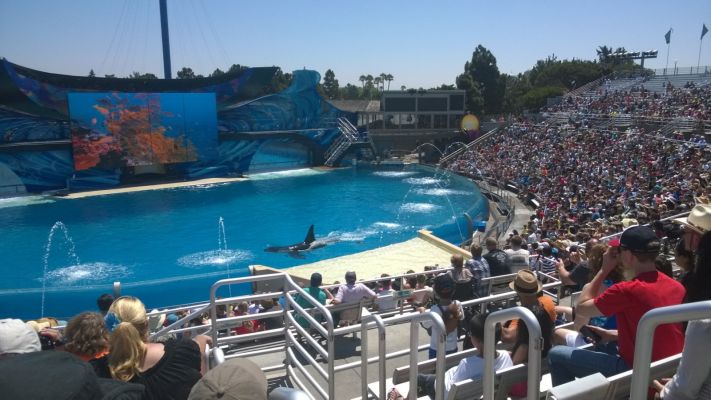 WP_20140709_012a.jpg