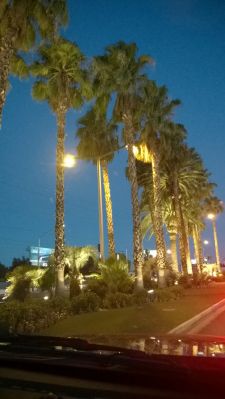 WP_20140721_015a.jpg
