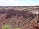 P8020727a.jpg