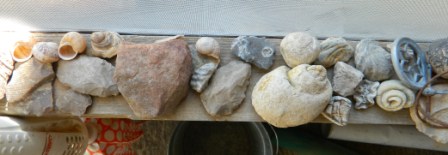 DSCN4664.JPG