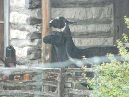 DSCN8293.JPG