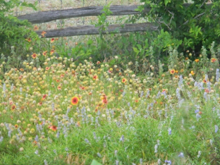 DSCN8297.JPG