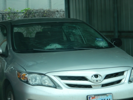 DSCN8461.JPG