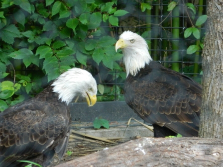 DSCN8747.JPG