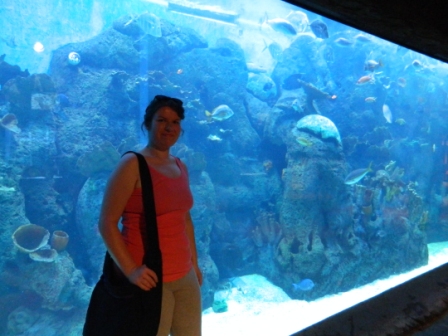 DSCN8761.JPG