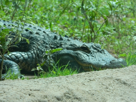 DSCN8769.JPG