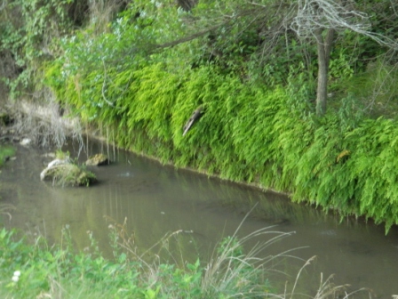 DSCN8944.JPG