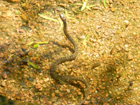 DSCN9082.JPG