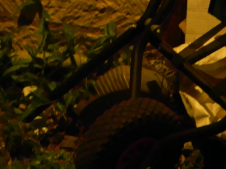 DSCN9123.JPG
