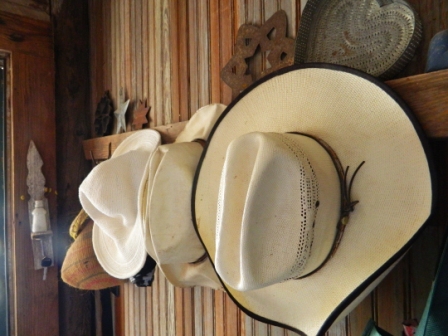 DSCN9135.JPG