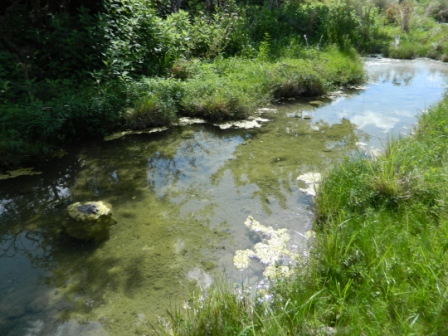 DSCN9198.JPG