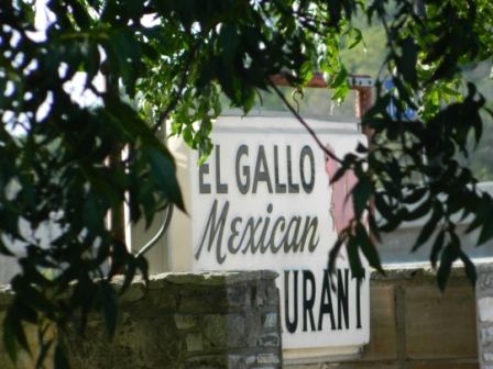 DSCN9250.JPG