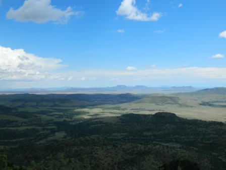 DSCN9768.JPG