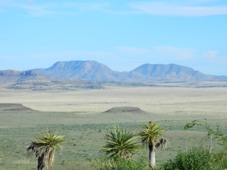 DSCN9853.JPG