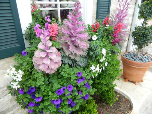 DSCN3719.JPG