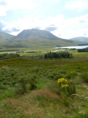 bei Glen Coe
