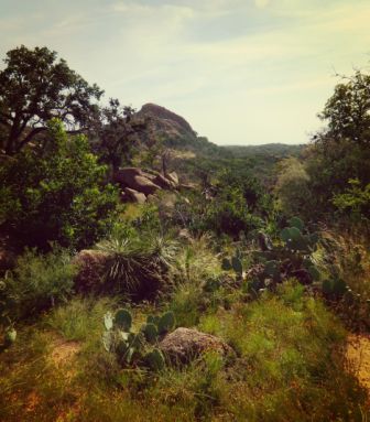 texas12.jpg