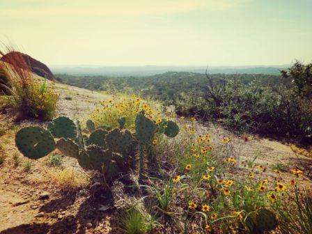 texas13.jpg