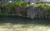 DSCN4669.JPG