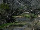 DSCN4672.JPG
