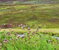 Highlands