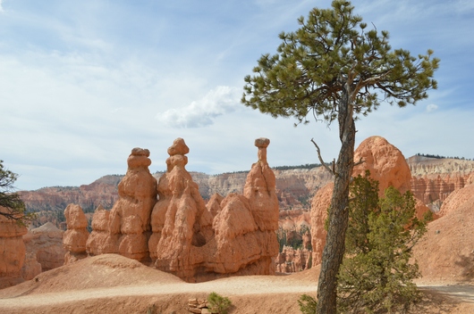 usa_2014USA_2014_-_Bryce_Canyon_(21).jpg