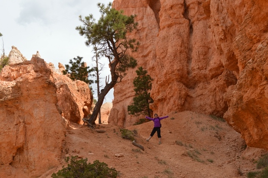 usa_2014USA_2014_-_Bryce_Canyon_(41).jpg