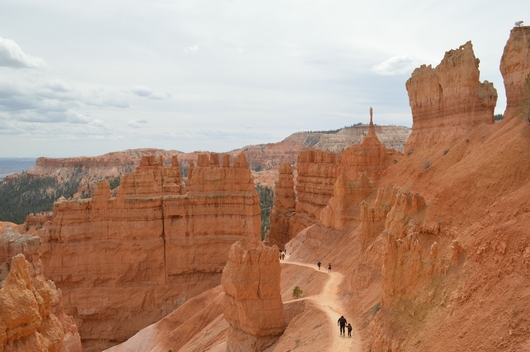 usa_2014USA_2014_-_Bryce_Canyon_(67).jpg
