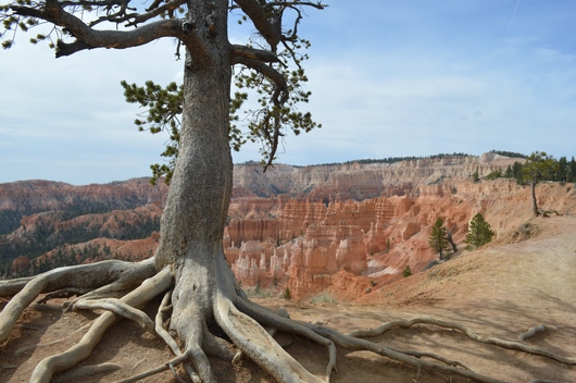 usa_2014USA_2014_-_Bryce_Canyon_(7).jpg