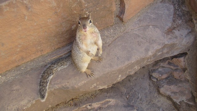IMG_0307_08.jpg