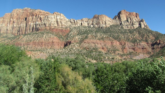 IMG_0311_01.jpg