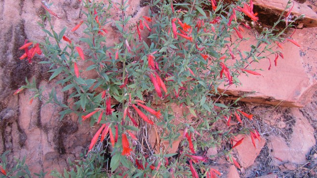 IMG_0329_03.jpg