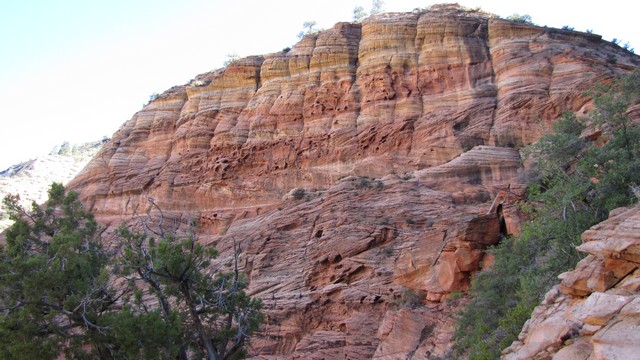 IMG_0333_06.jpg