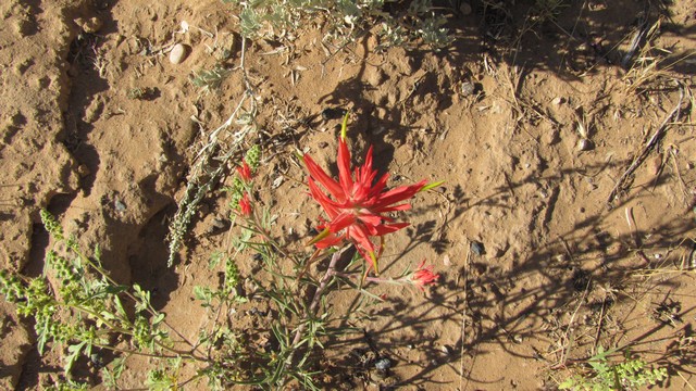 IMG_0365_03.jpg