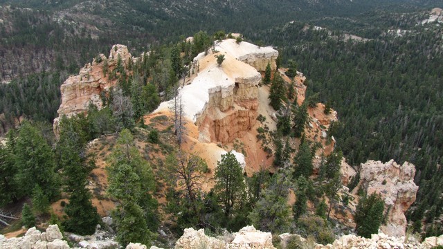IMG_0411_07.jpg