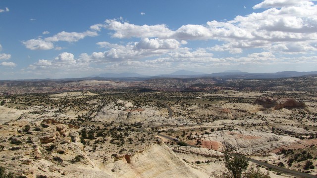 IMG_0544_08.jpg