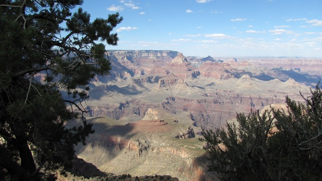 IMG_1769_12.jpg