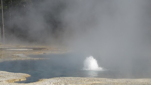 IMG_6788_01.jpg