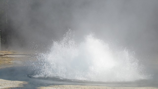 IMG_6790_03.jpg
