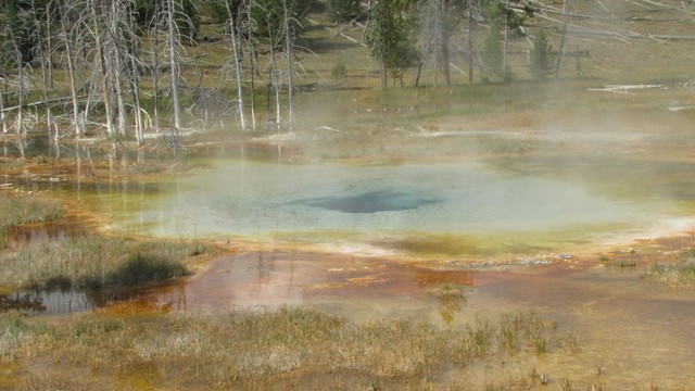 IMG_6907_13.jpg