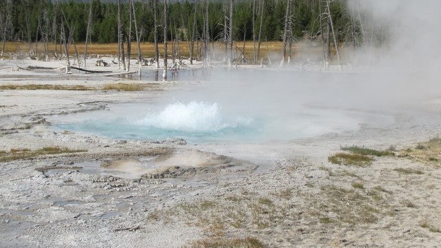 IMG_7084_30.jpg
